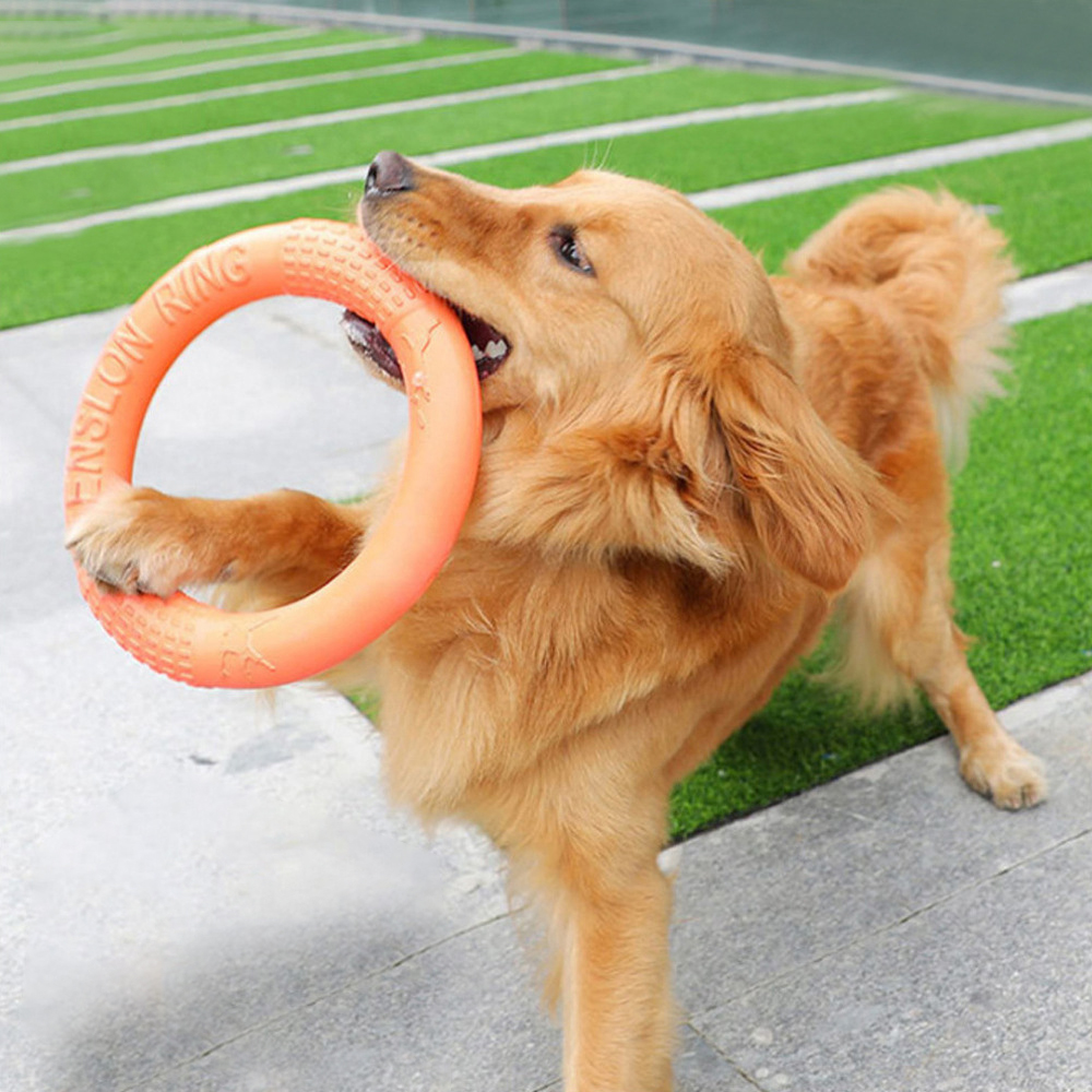 1pc Orange Dog Toys Pet Flying - Suction Cup Dog Tug Toy 评论和价格