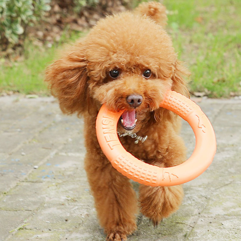 1pc Orange Dog Toys Pet Flying - Suction Cup Dog Tug Toy 评论和价格