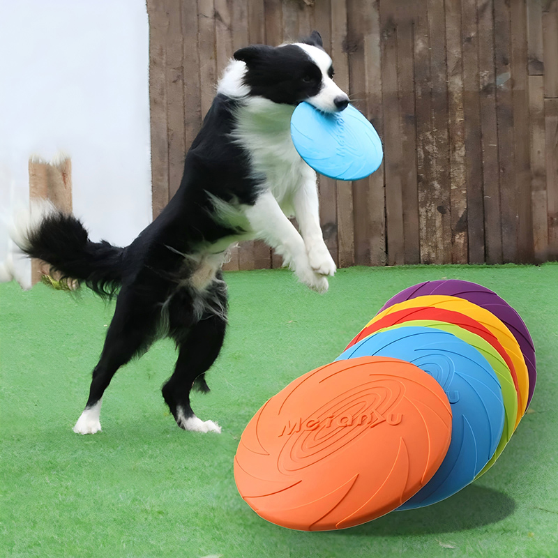 Silicone Flying Disc Toys Mult - Flying Disc Dog Training Toy 评论和价格
