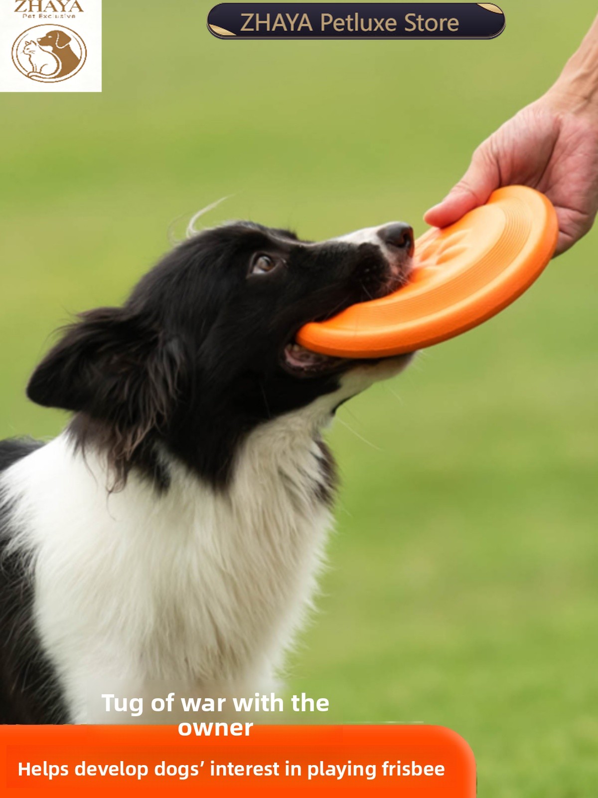 Dog Flying Disc Soft Durable B - Flying Disc Dog Training Toy 评论和价格
