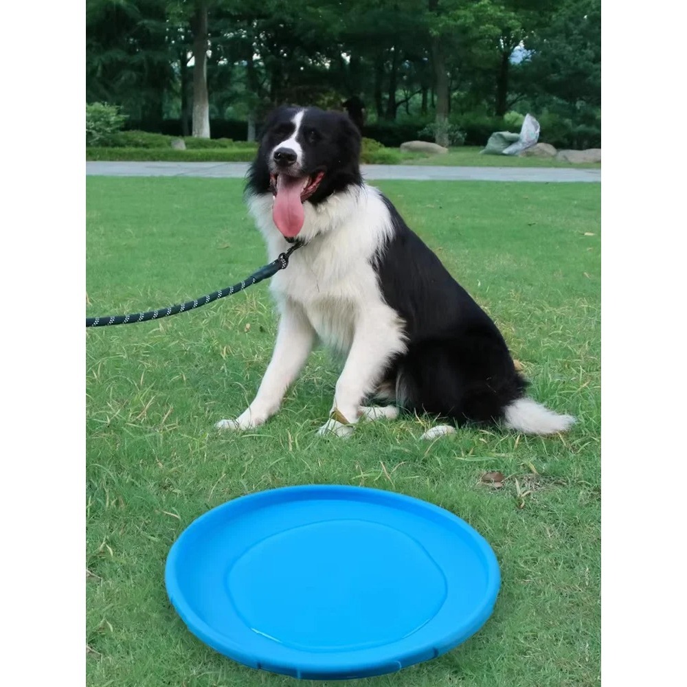 Dog Flying Disc TPR Pet Toy In - Flying Disc Dog Training Toy 评论和价格