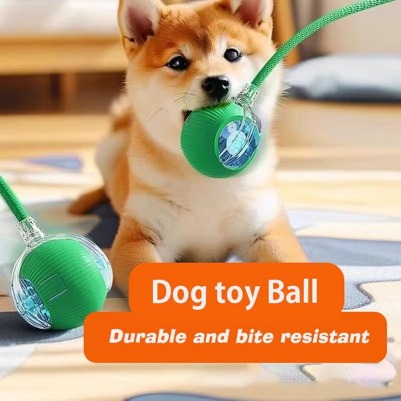 New Dog Interactive Ball Toy A - Automatic Moving Dog Ball 评论和价格