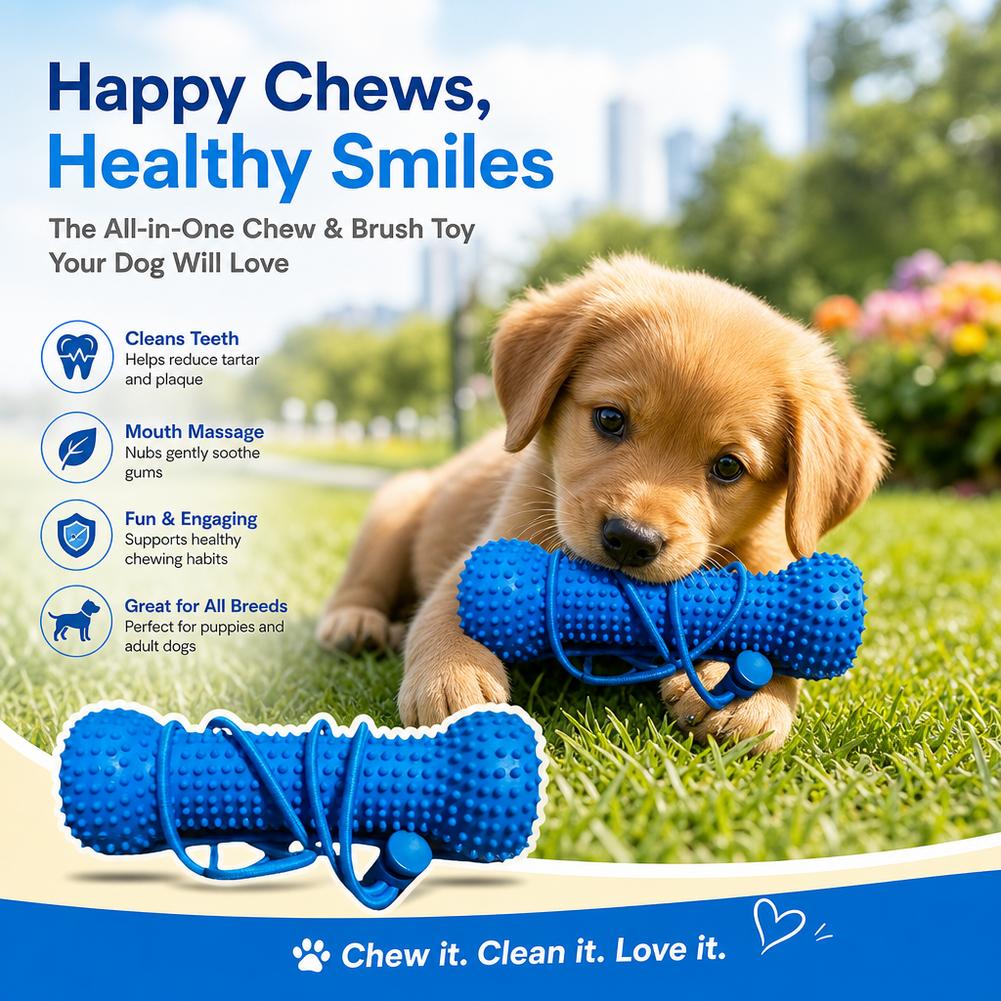 Dog Teeth Cleaning Chew Toy Bi - Teeth Cleaning Dog Chew Bone 评论和价格
