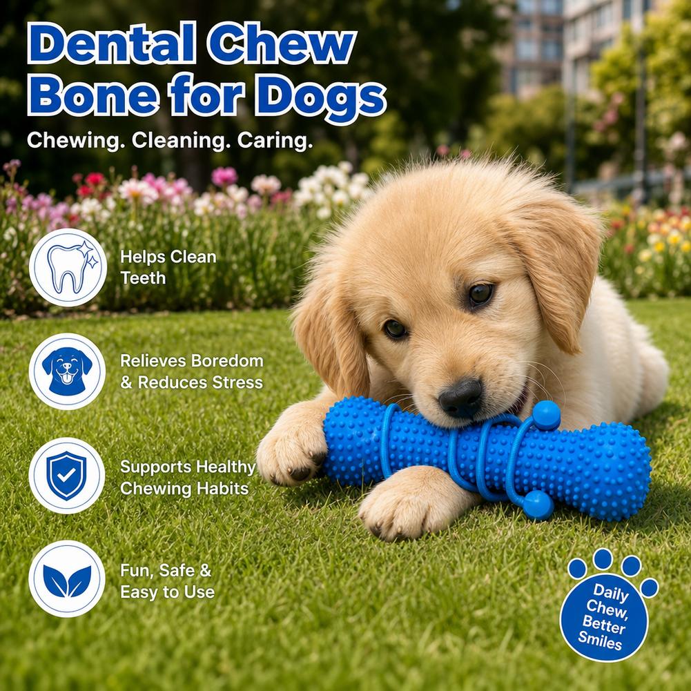 Dog Teeth Cleaning Chew Toy Bi - Teeth Cleaning Dog Chew Bone 评论和价格