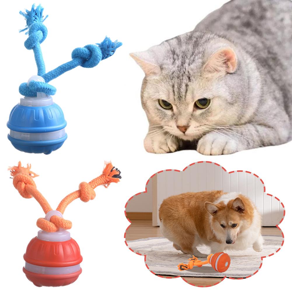 Smart Rechargeable Dog Ball In - Automatic Moving Dog Ball 评论和价格