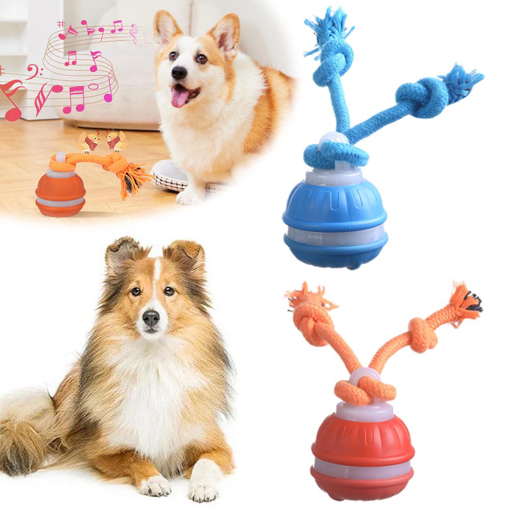 Smart Rechargeable Dog Ball In - Automatic Moving Dog Ball 评论和价格