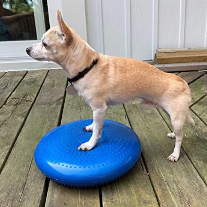 Dogs Training Aids Balance Fly - Flying Disc Dog Training Toy 评论和价格
