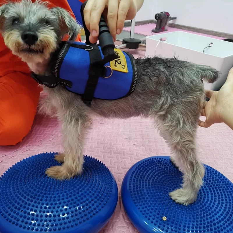 Dogs Training Aids Balance Fly - Flying Disc Dog Training Toy 评论和价格