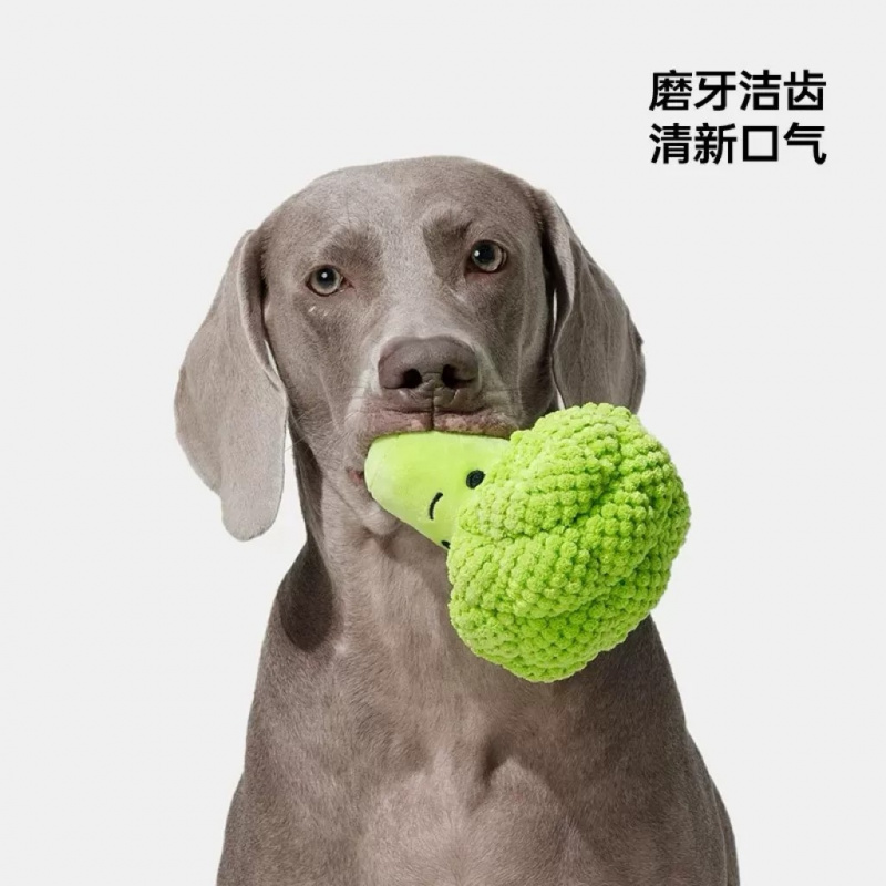 Dog Sound Toy for Teeth Grindi - Interactive Squeaky Plush Dog Toy 评论和价格