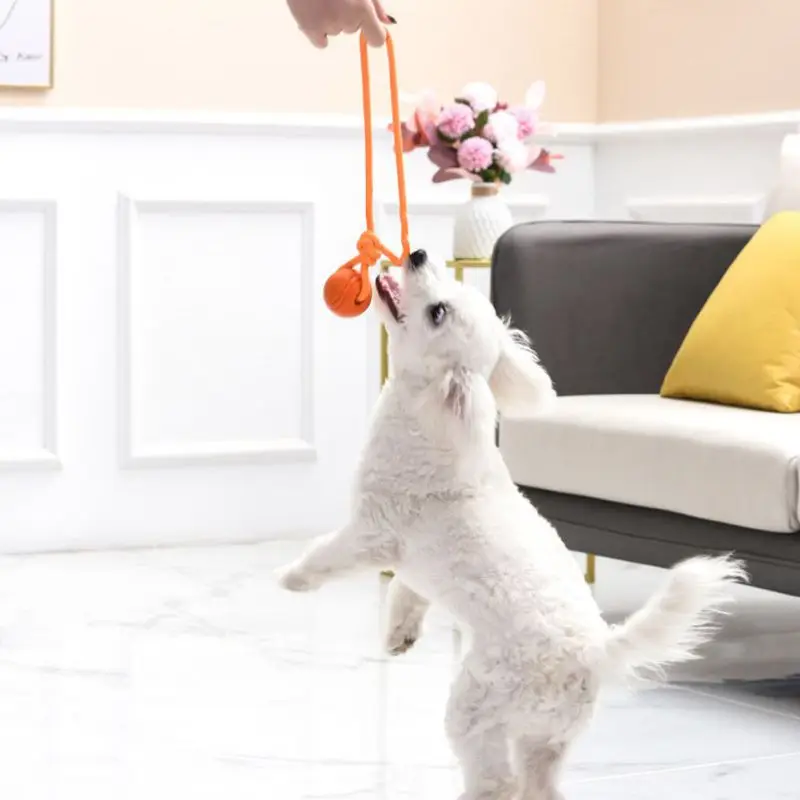 Dog Training Ball on Rope Cott - Suction Cup Dog Tug Toy 评论和价格