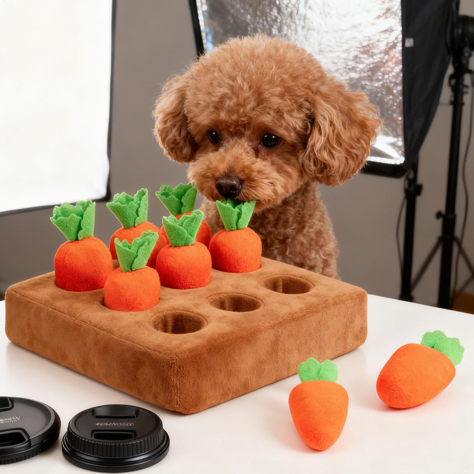 Pet Carrot Interactive Toys Do - Snuffle Mat For Dogs 评论和价格