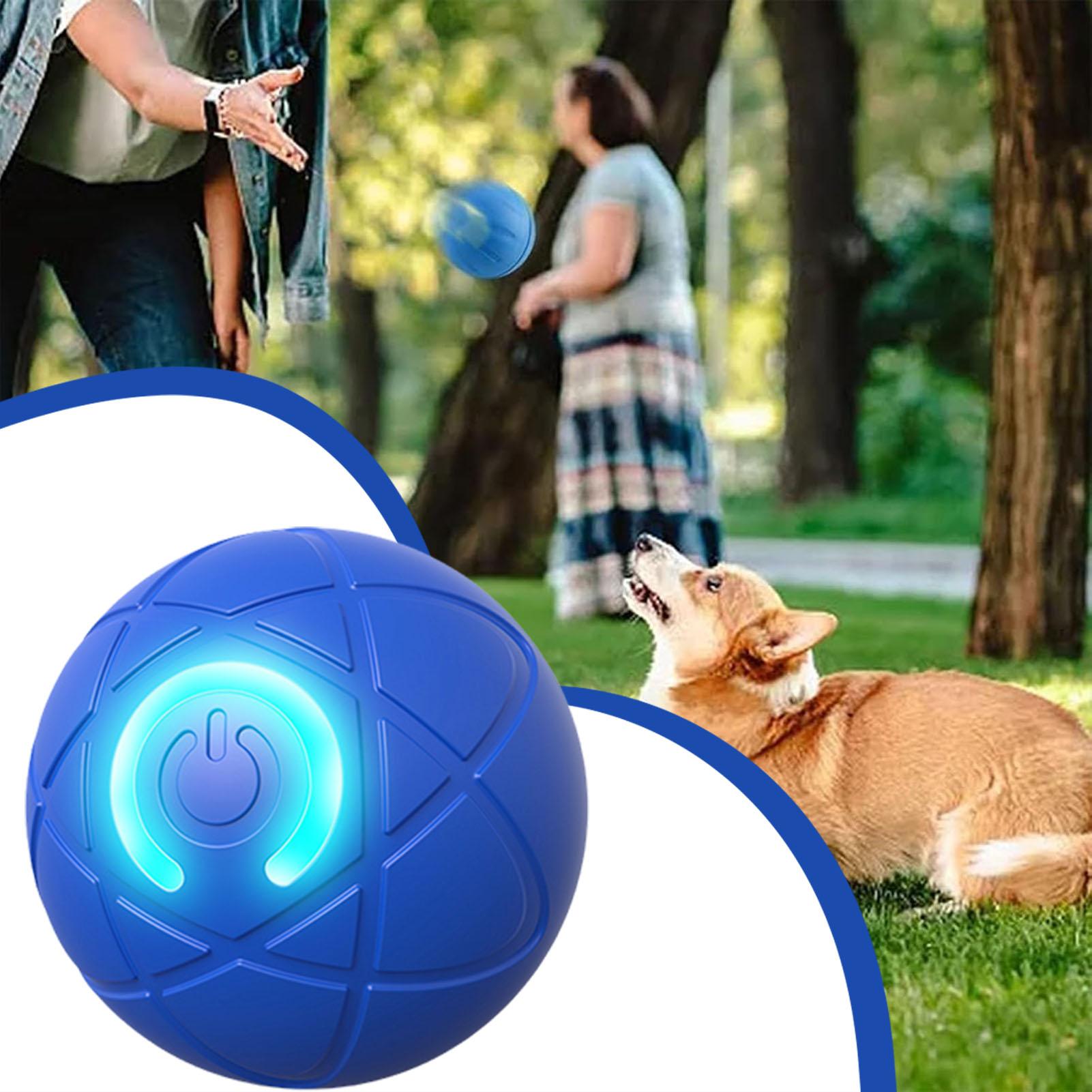 1pc Pet Toy Ball Automatic Mov - Automatic Moving Dog Ball 评论和价格
