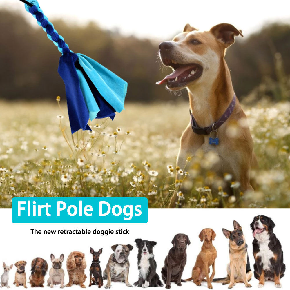 Retractable Dog Stick Interact - Indestructible Dog Chew Toy 评论和价格