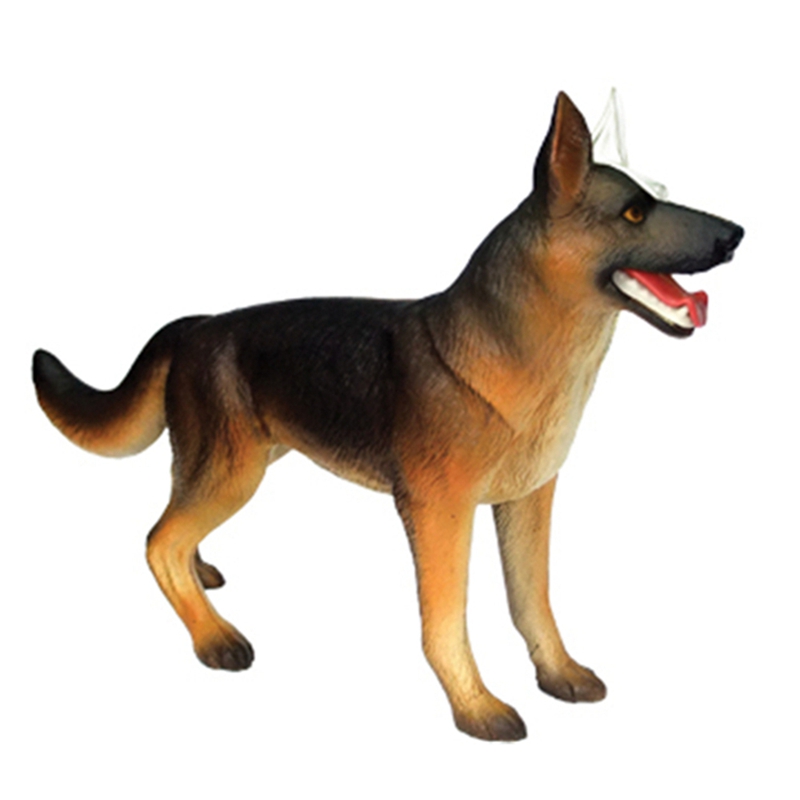 Animal Organ Anatomy Model 4D  - Dog Toys 评论和价格