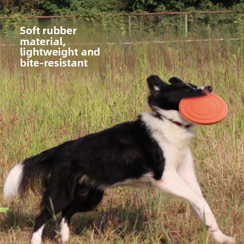 Bite Resistant Floating Soft P - Flying Disc Dog Training Toy 评论和价格