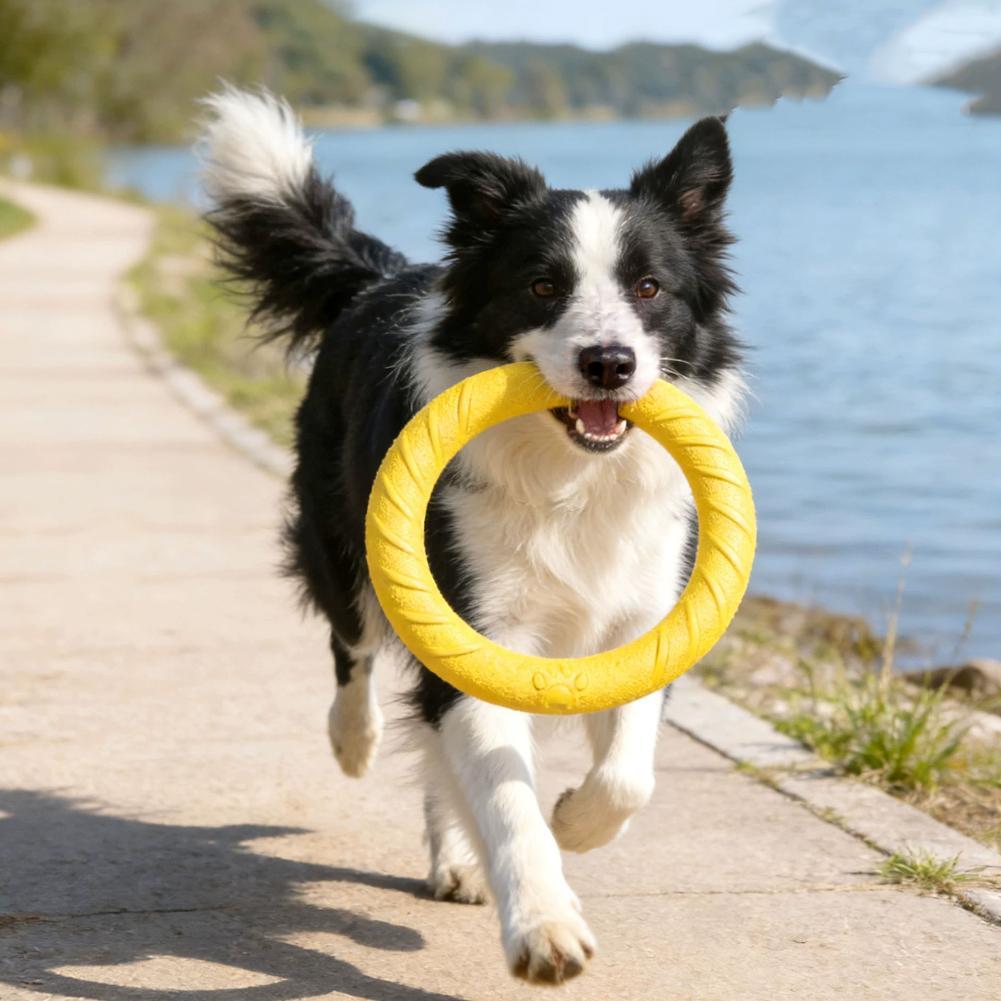 Dog Ring Toys Indestructible C - Suction Cup Dog Tug Toy 评论和价格